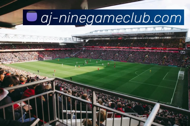 多媒体互动体验